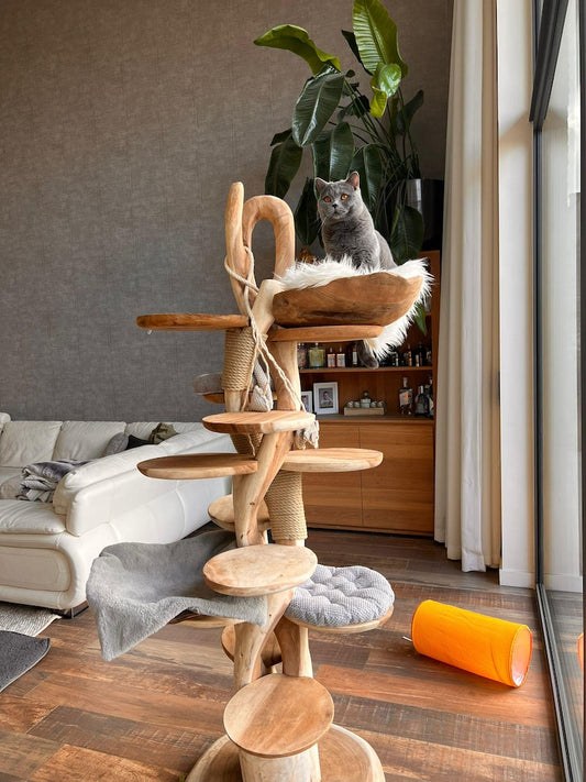 Wooden Cat Tree – Handmade Natural Branch Cat Tower – Indoor Cat Shelf Furniture – Unique Pet Tree for Living Room Decor