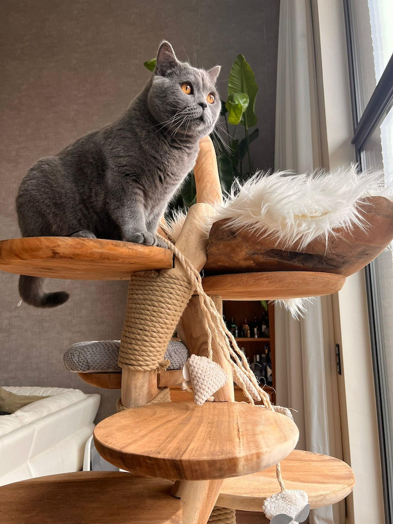 Wooden Cat Tree – Handmade Natural Branch Cat Tower – Indoor Cat Shelf Furniture – Unique Pet Tree for Living Room Decor