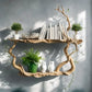 Driftwood bookshelf,wall-mounted,personal tree branch shelf ,children's bookshelf,library bookshelf Home Decor Living room decor 46"H × 42"W